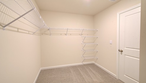 carpeted walk in closet