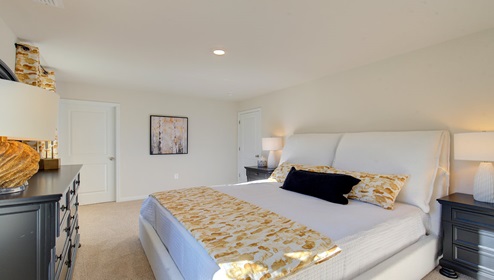 carpeted primary bedroom with two large windows