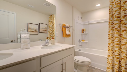 primary bathroom with double sink vanity and bathtub shower combination