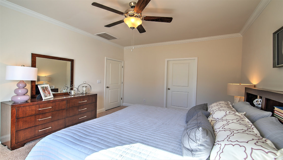 Carpeted primary bedroom with large windows
