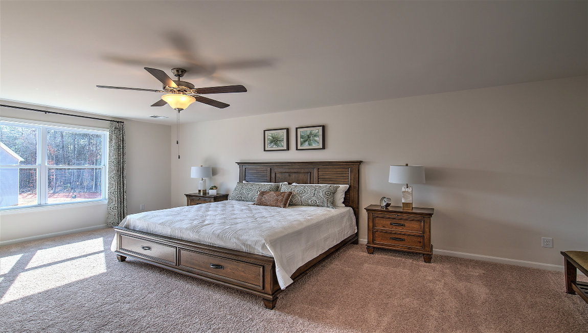 Primary bedroom with carpet, ceiling fan, and large window