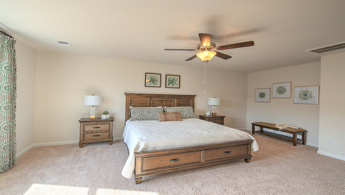Primary bedroom with carpet, ceiling fan, and large window