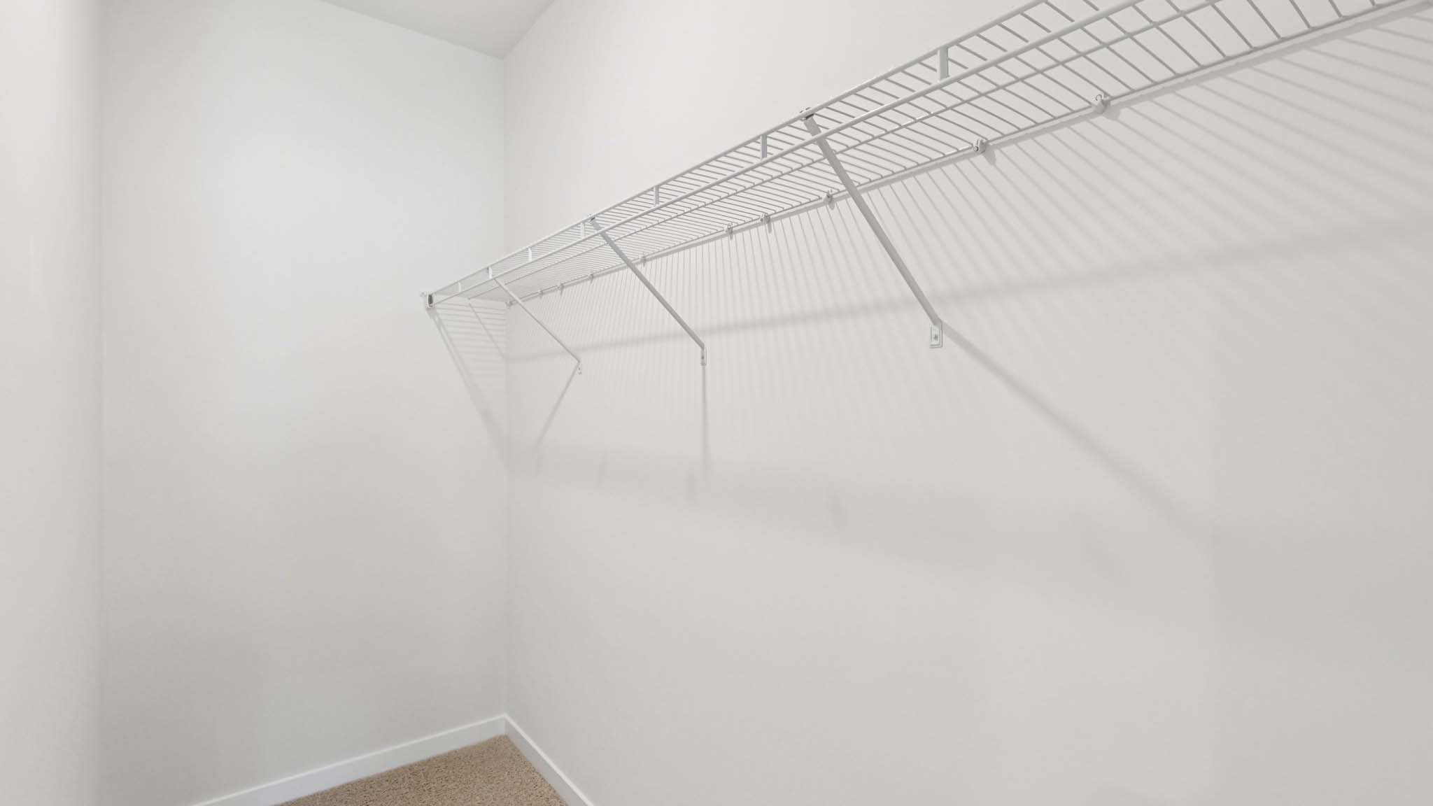 Primary closet with shelving