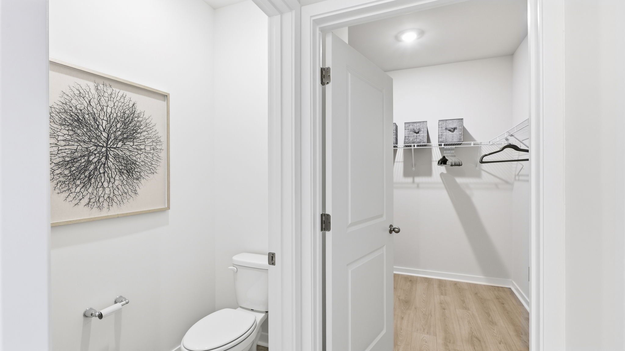 Primary bathroom with walk in closet and toilet closet