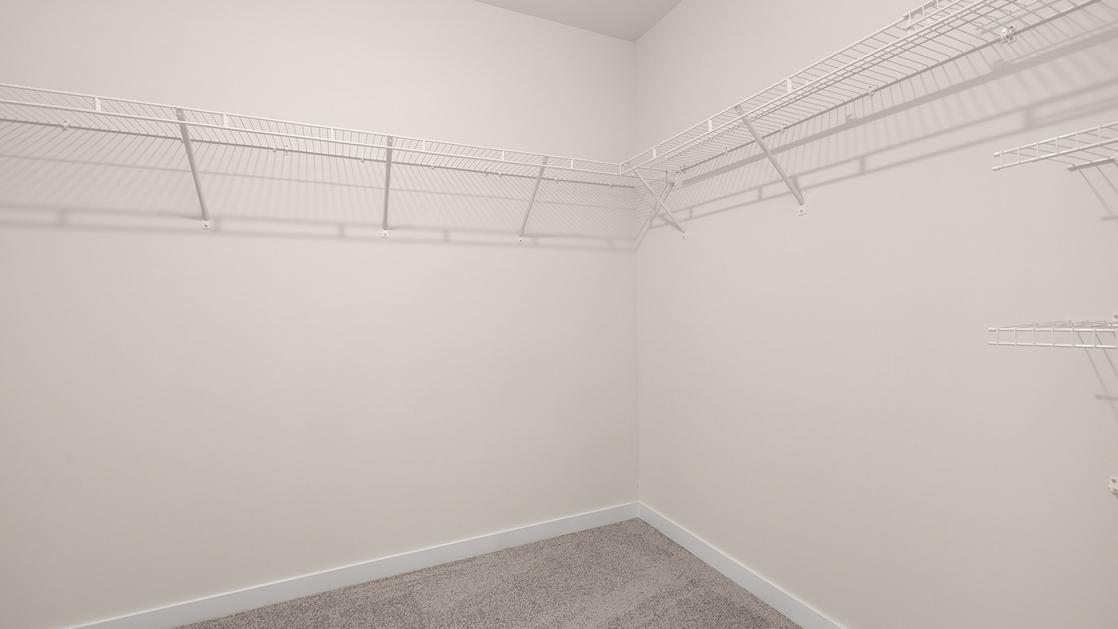 primary bedroom walk in closet with carpet