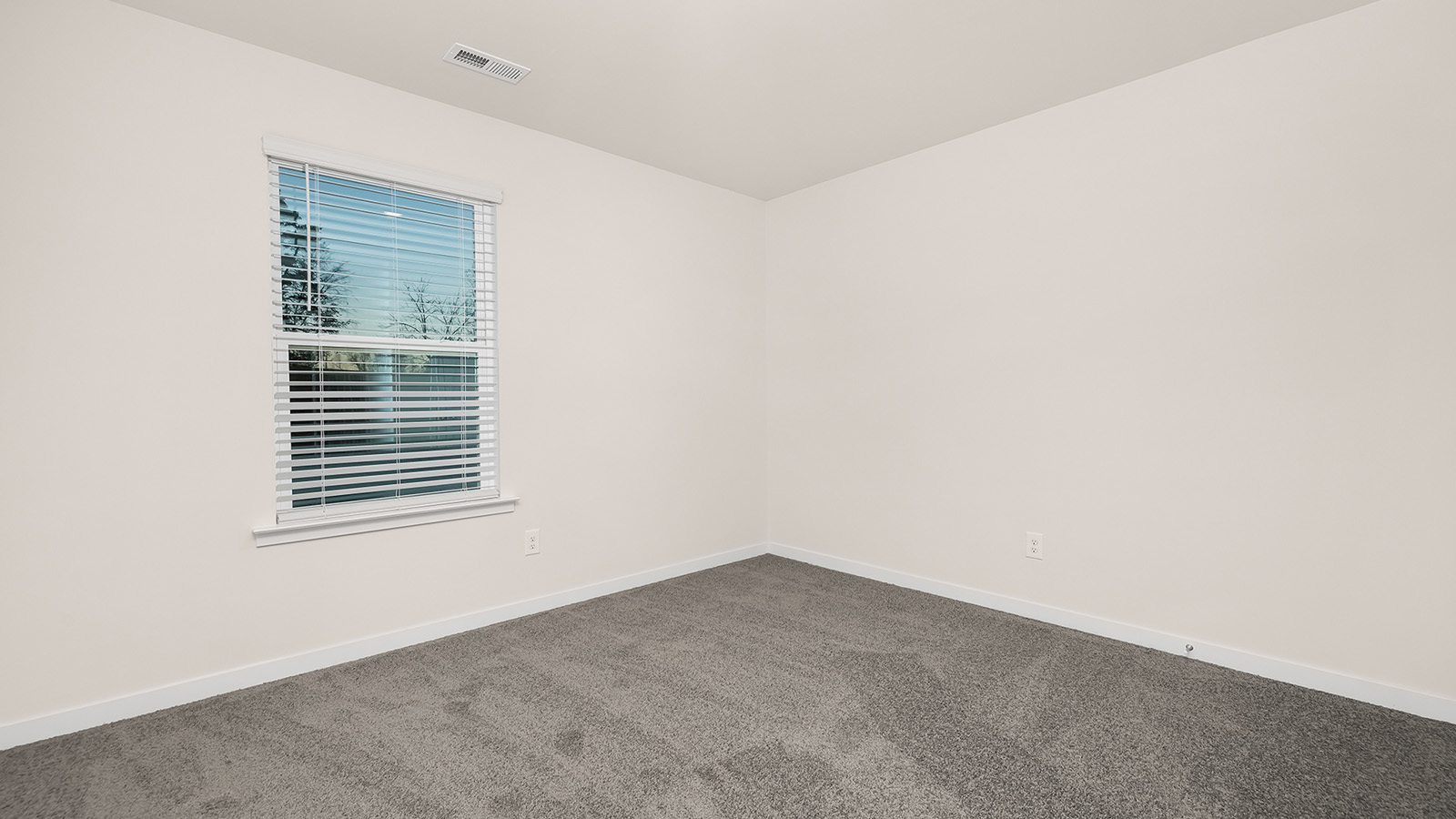 carpeted bedroom with large window
