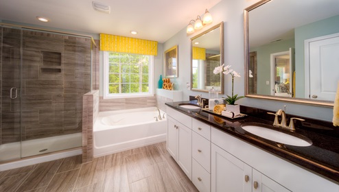 Primary bathroom with double sinks, bathtub and white cabinets, glass door standing shower