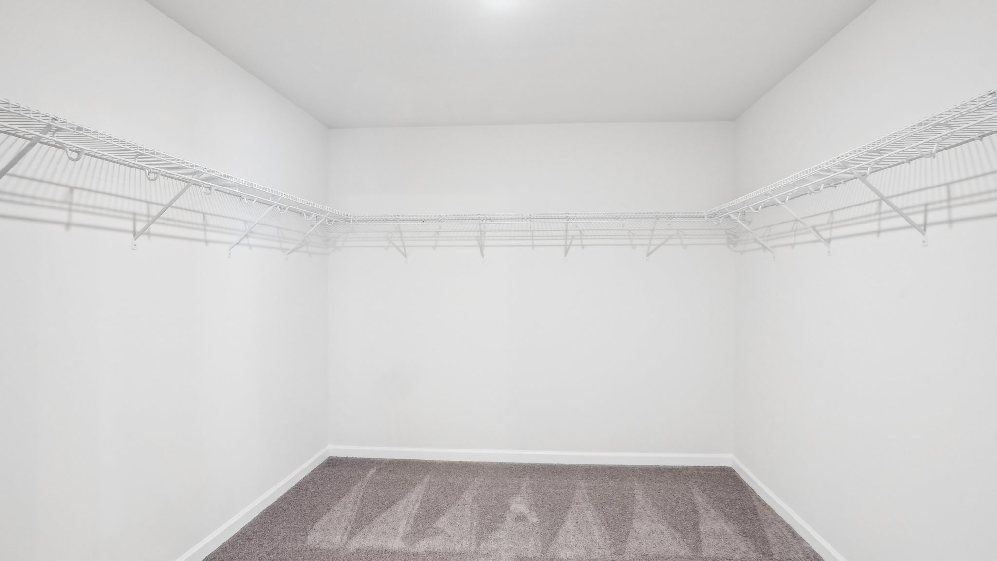 Primary bedroom walk in closet with carpet