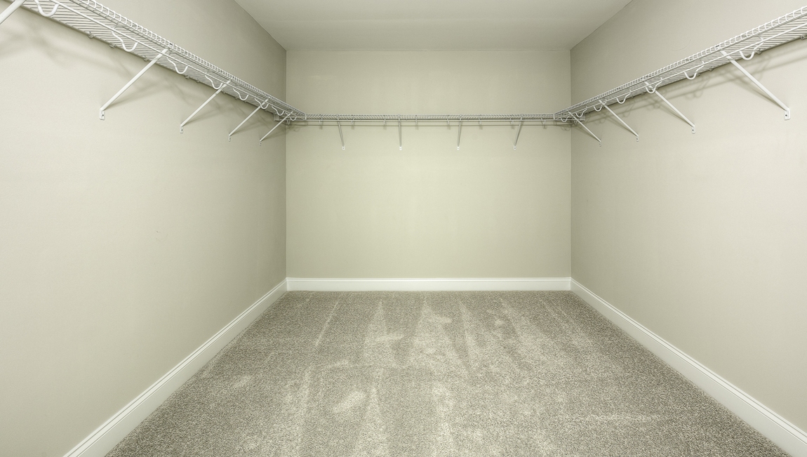Primary bedroom walk in closet with carpet