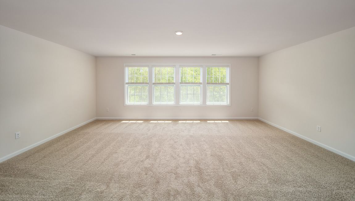 Carpeted bonus room with large window