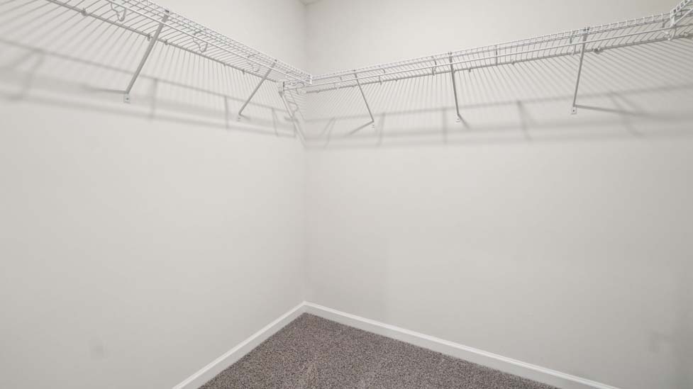 Primary walk in closet with carpet