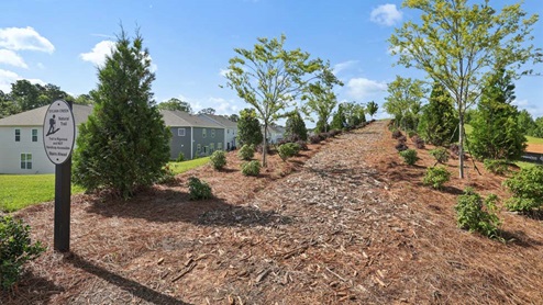 Sylvan Creek Amenity