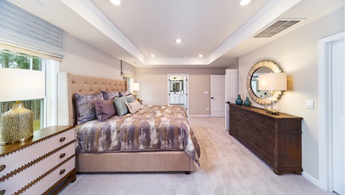 Hampshire Model Upstairs Primary Suite with Trey Ceiling