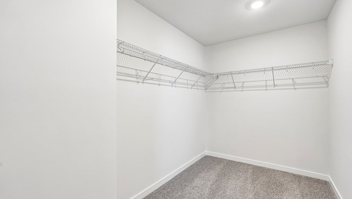 Primary carpeted walk in closet