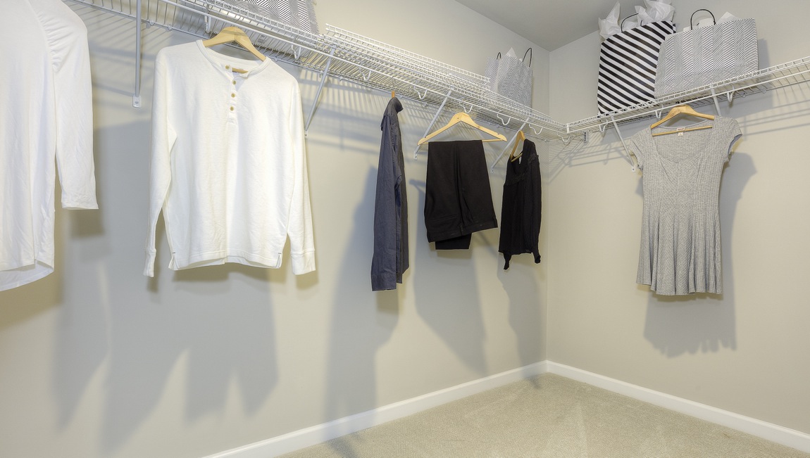 primary carpeted walk in closet