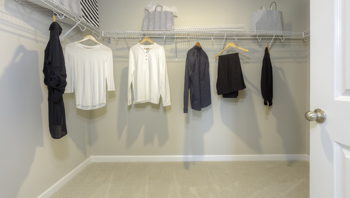 primary carpeted walk in closet