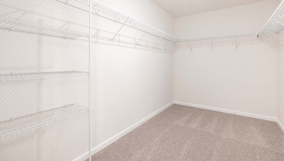 Primary bedroom carpeted walk in closet