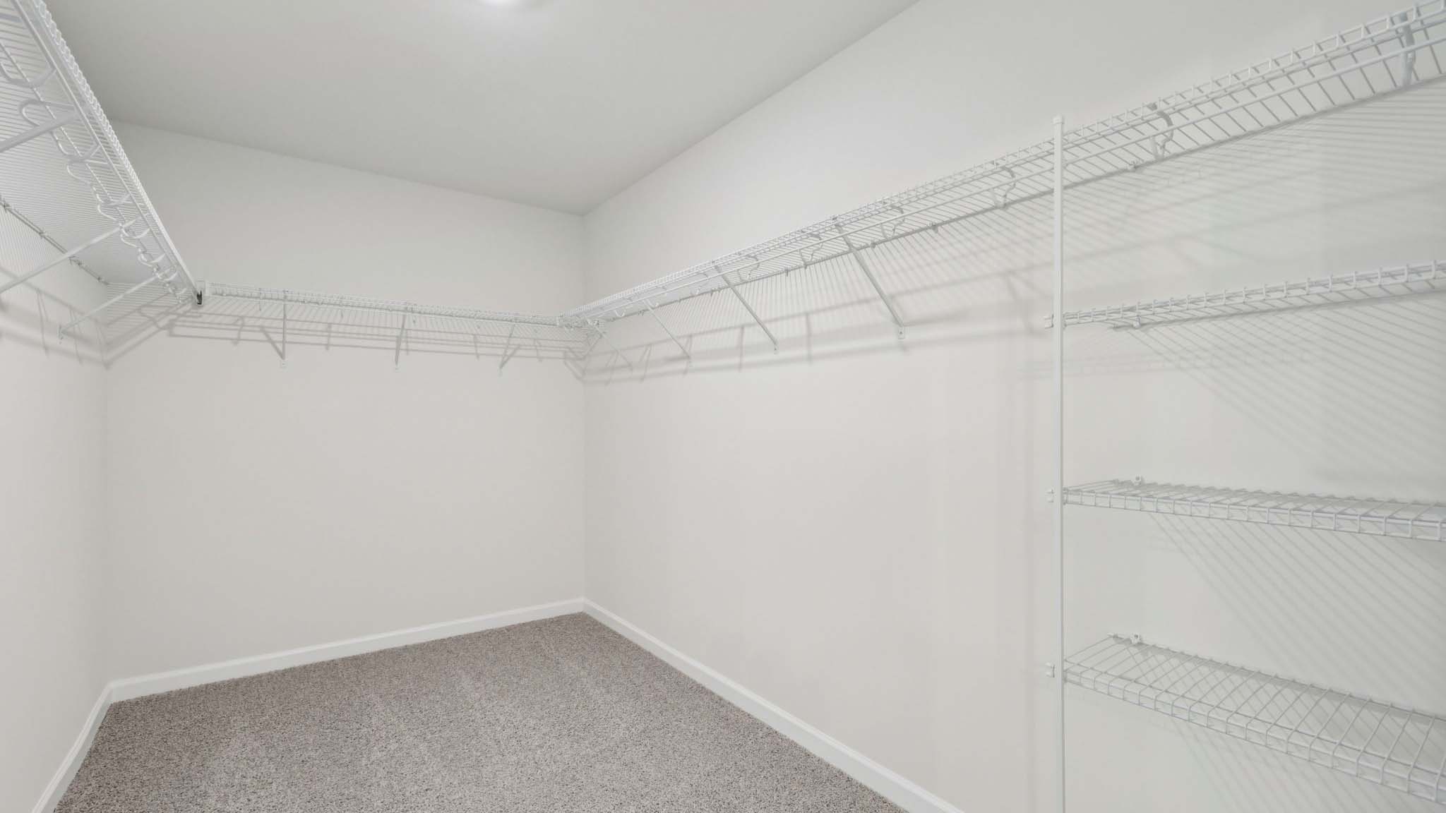 Primary bedroom carpeted walk in closet