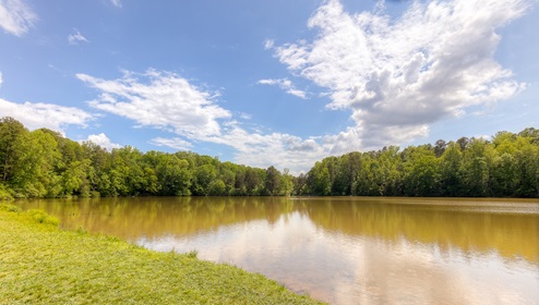 Lake Norman State Park Near Calvin Creek in Troutman, NC