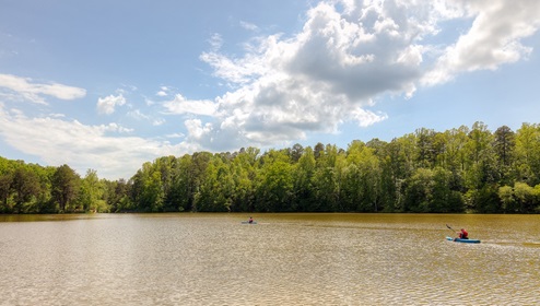 Lake Norman State Park Near Calvin Creek in Troutman, NC