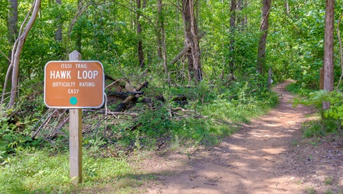 Lake Norman State Park Near Calvin Creek in Troutman, NC