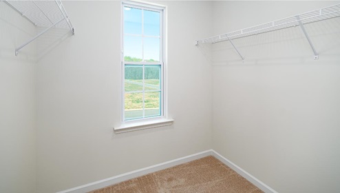 Primary walk in closet with carpet and small window