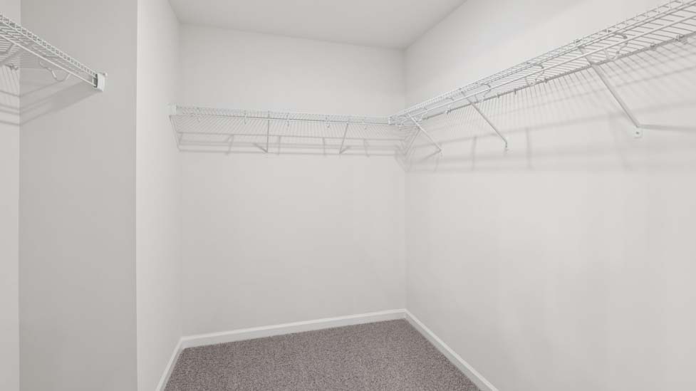 primary carpeted walk in closet
