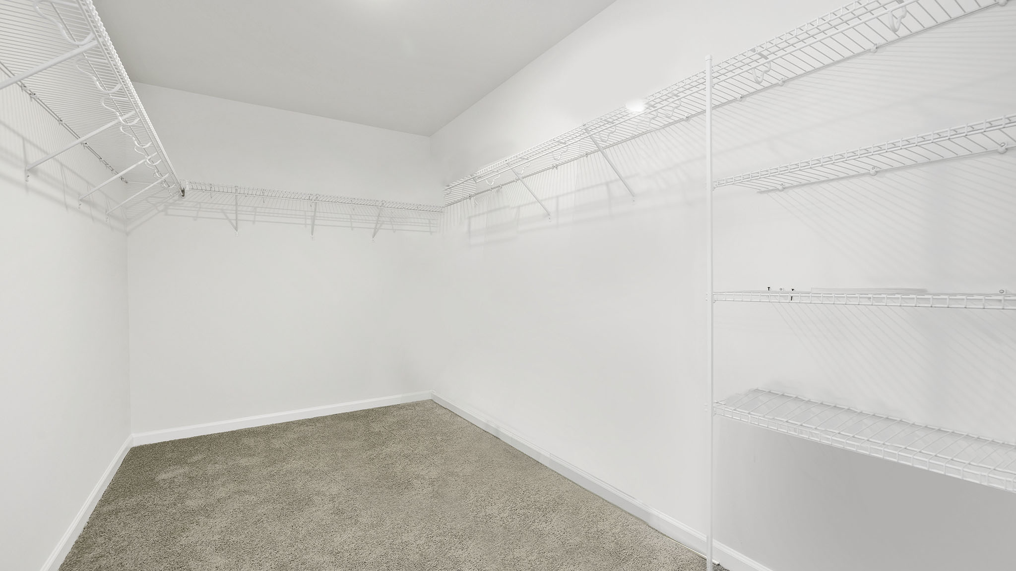 Primary bedroom carpeted walk in closet