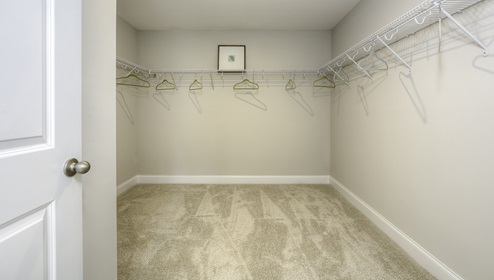 Primary walk in closet with carpet and built in hanger racks