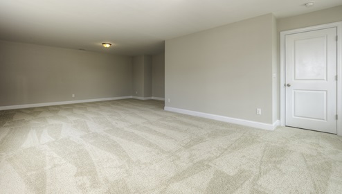 carpeted bonus room