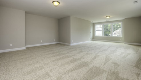 carpeted bonus room with large bedroom