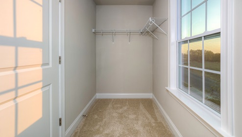 Carpeted walk in closet with windows