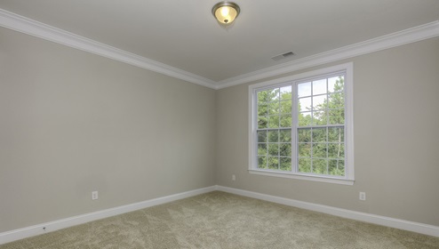Carpeted guest room with large window