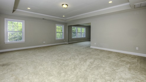 Primary bedroom with carpet and many large windows