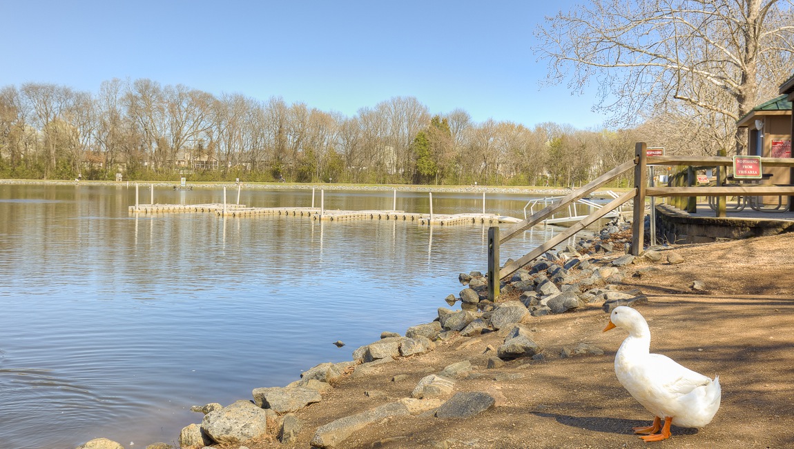 Frank Liske Park Near Skybrook Corners in Concord, NC