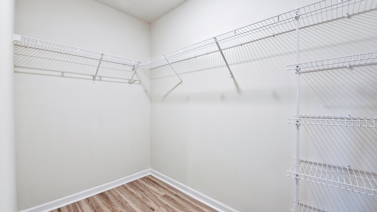 Primary bedroom carpeted walk in closet