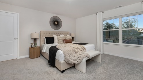 Primary bedroom carpeted with large window