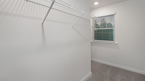 Primary bedroom carpeted walk in closet