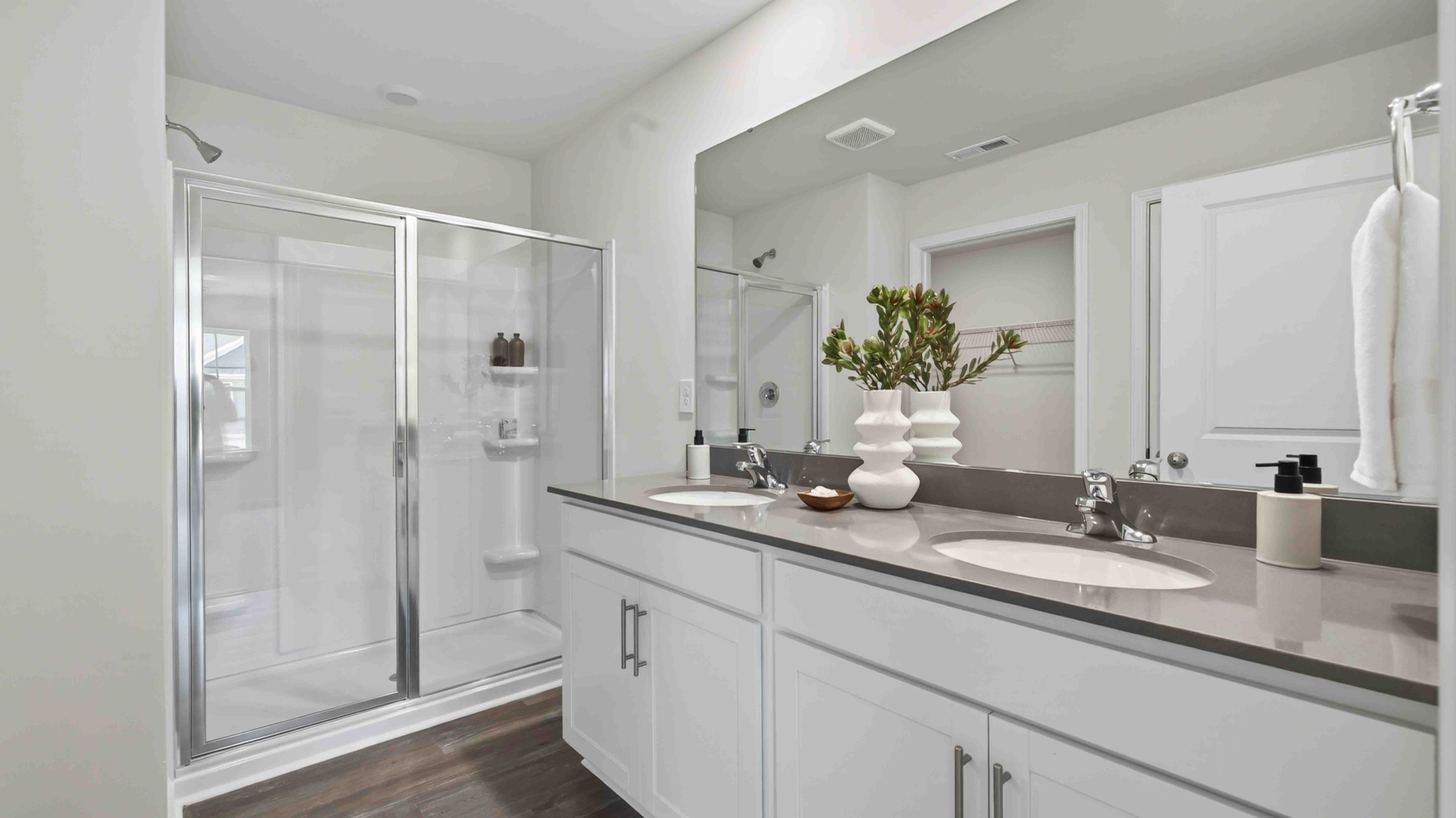 primary bathroom with standing glass shower