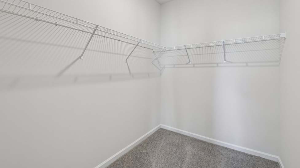 primary walk in closet with carpet