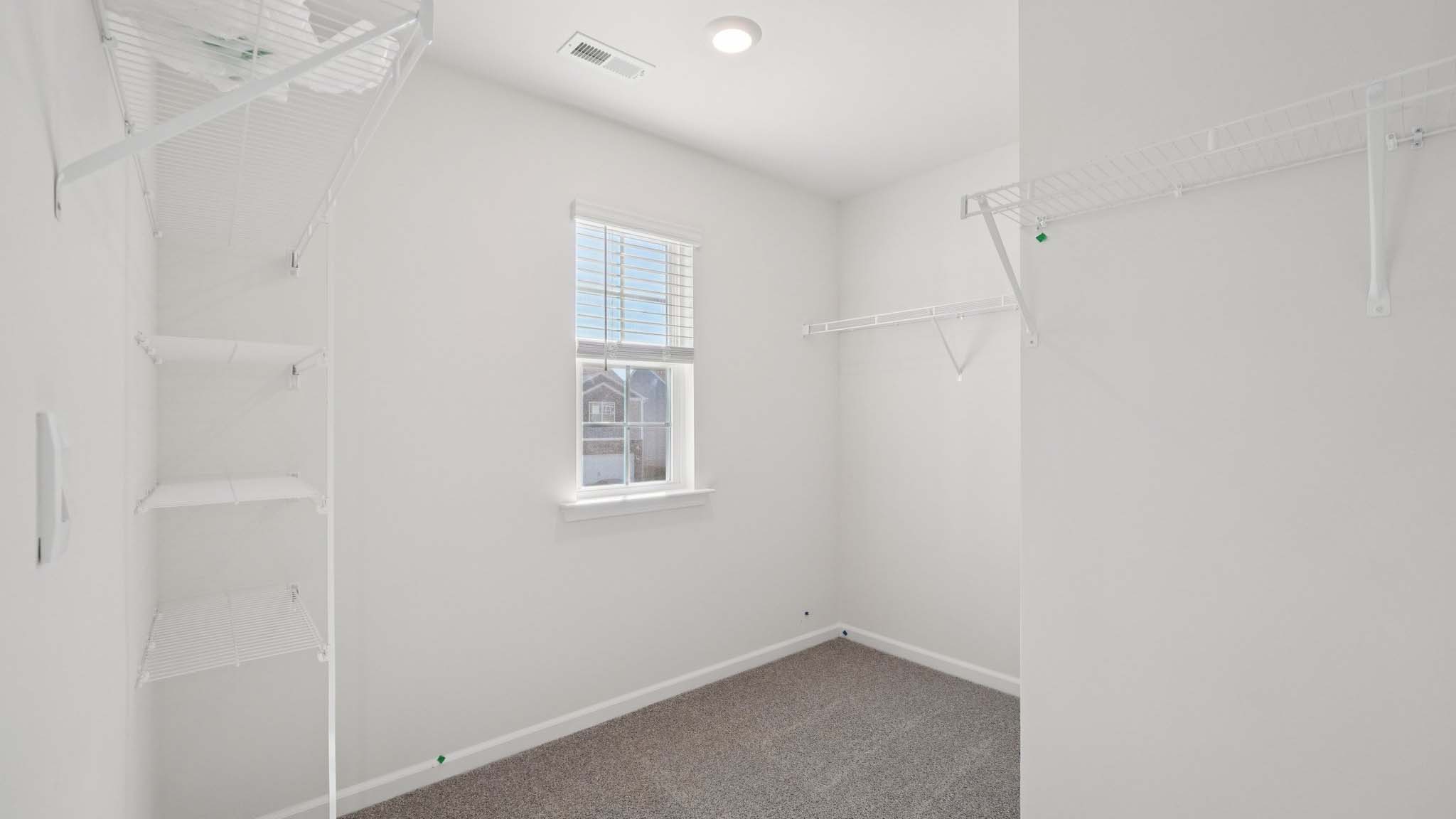 Primary carpeted walk in closet