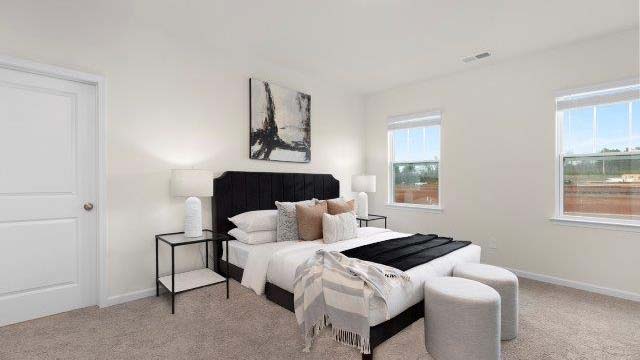 Primary bedroom with carpet and two large windows