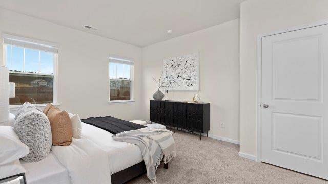 Primary bedroom with carpet and two large windows