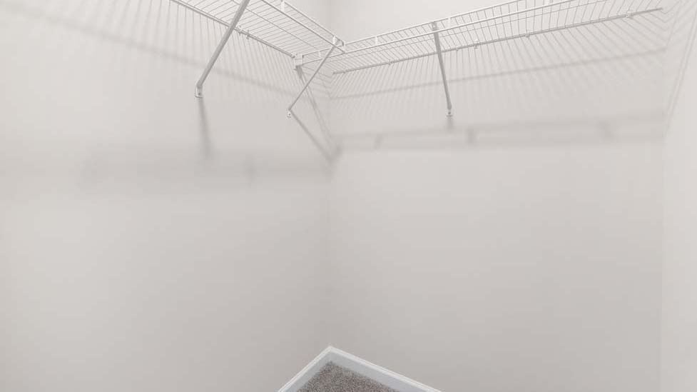 carpeted walk in coset