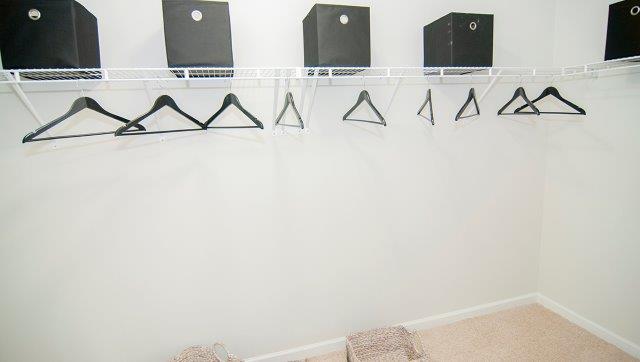 Primary carpeted walk in closet