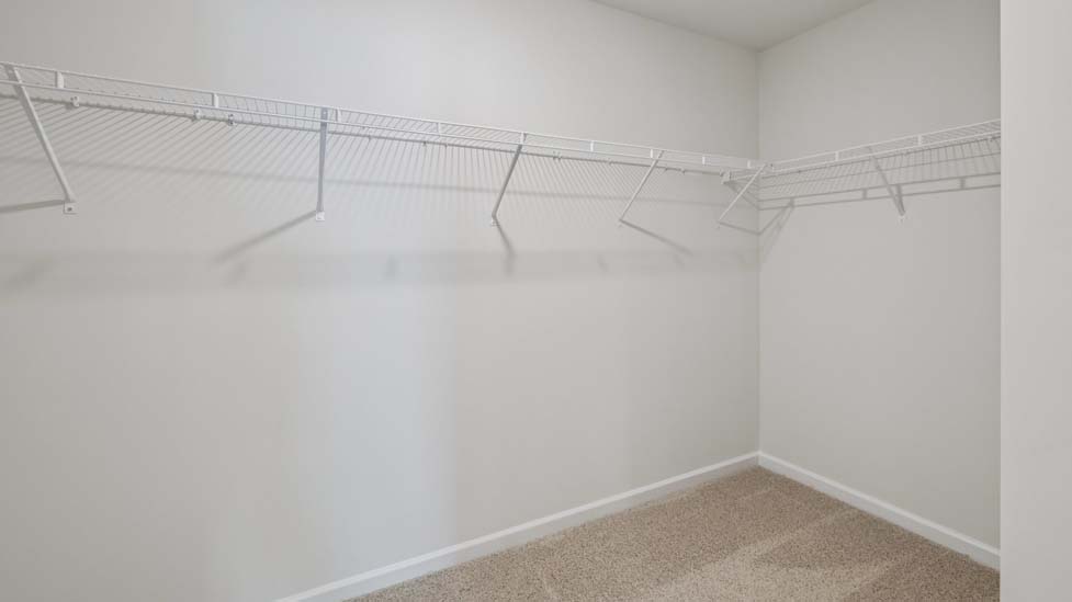 Primary carpeted walk in closet