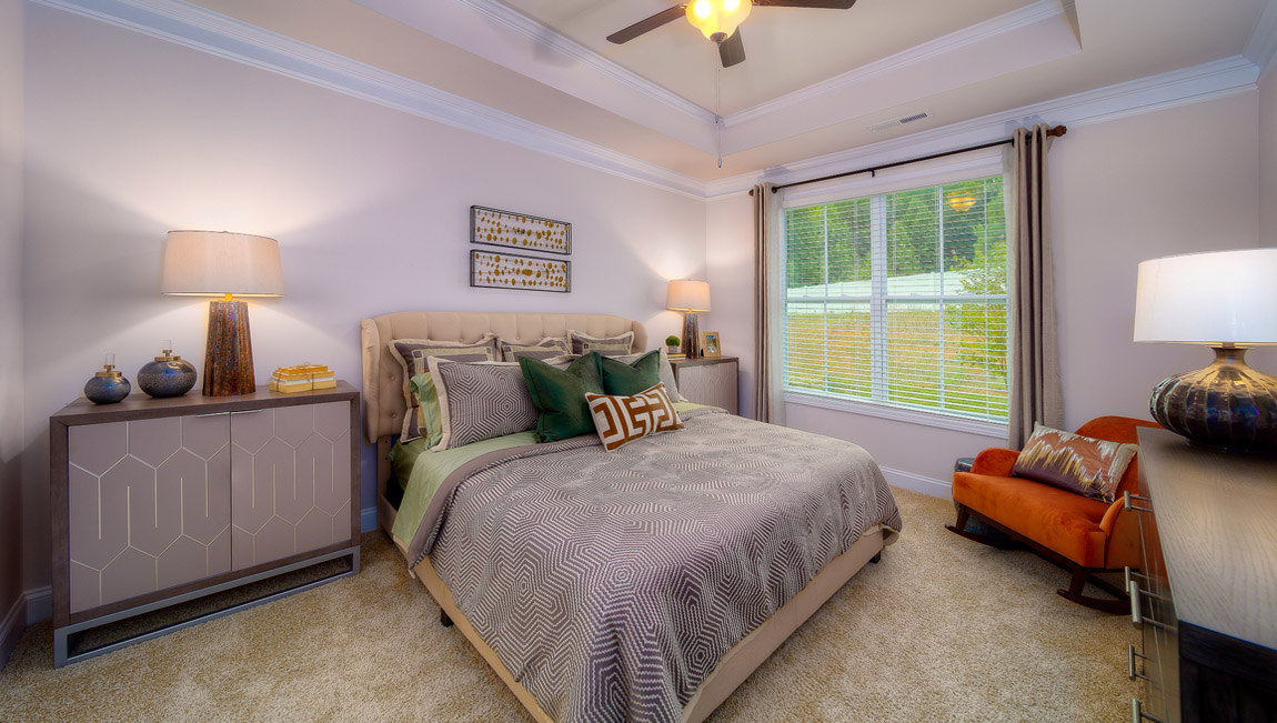 Primary bedroom with carpet and large window