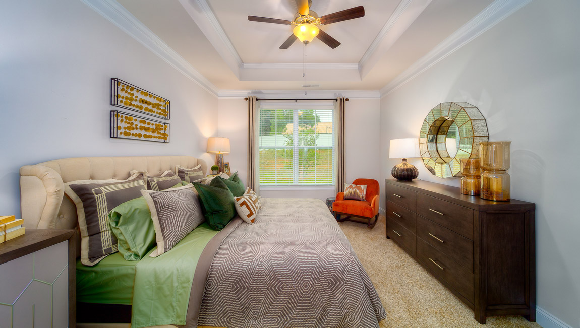 Primary bedroom with carpet and large window