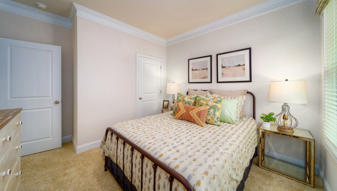 Carpeted bedroom with large window
