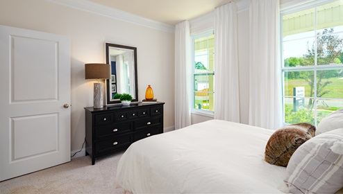 Carpeted bedroom with two windows